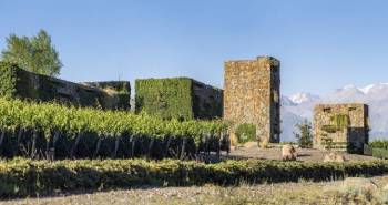 huentala-wines-pionera-en-el-uso-de-ia-para-viticultura-de-precision-en-argentina