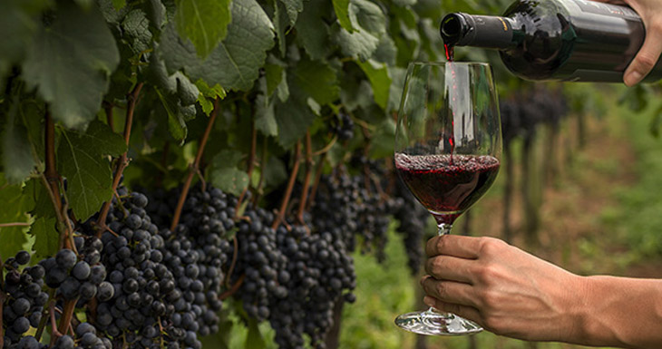Cómo enfrenta el mundo del vino la pandemia del coronavirus