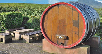 como-funciona-una-prensa-neumatica-de-vino