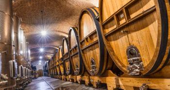 la-implementacion-adecuada-de-mesas-vibrantes-mejora-la-calidad-del-vino