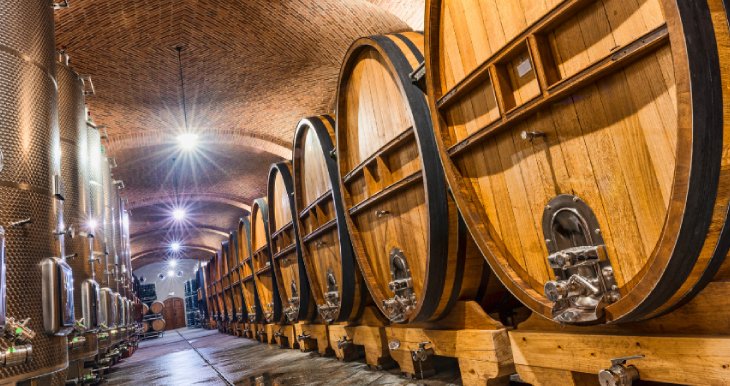 la-implementacion-adecuada-de-mesas-vibrantes-mejora-la-calidad-del-vino