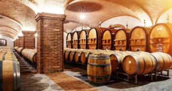 maquinaria-de-bodega-mantenimiento-antes-de-la-vendimia