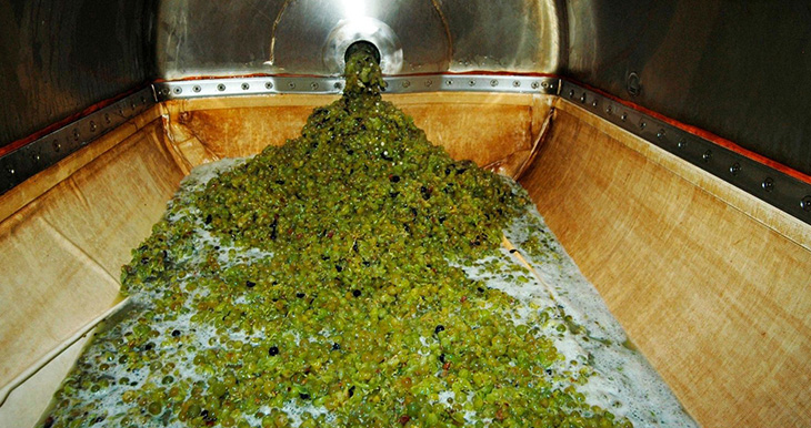 prensa-de-vino-y-que-funcion-cumple-en-el-proceso-de-elaboracion-vinicola