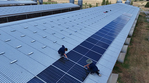 Energía Renovable en Criadero de cerdos en Gral Las Heras