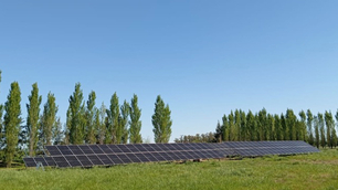 Energía renovable en empresa ganadera de Buenos Aires
